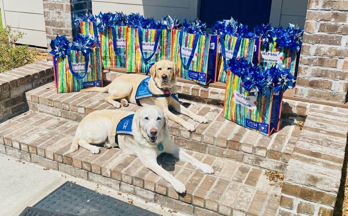 Powerful PAWS for Children