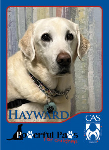 Powerful PAWS for Children Powerful PAWS for Children