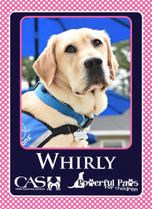 Meet the Dogs - Powerful PAWS for Children Meet the Dogs - Powerful PAWS for Children